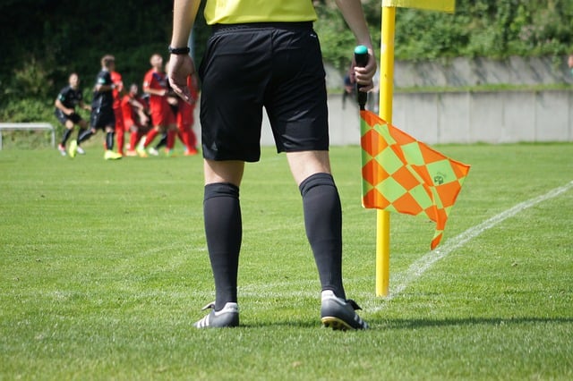 soccer referee in a game